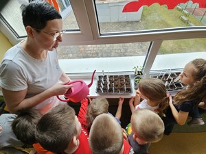 Pani Agnieszka Paczoska (mama jednego z uczniów) prezentuje dzieciom z oddziału przedszkolnego – zerówka 03 w jaki sposób sadzi się nasiona.