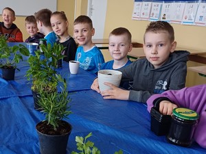 Uczniowie z klasy 2c siedzą przy stole i sadzą roślinki do doniczek.