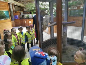 Dzieci z oddziału przedszkolnego stoją przed klatką z papugą.