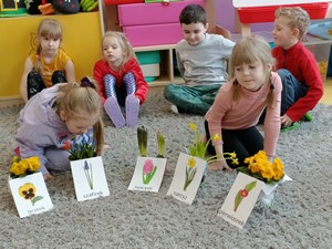 Dzieci z oddziału przedszkolnego (5 - latki) siedzą na podłodze przy zdjęciach wiosennych kwiatów.