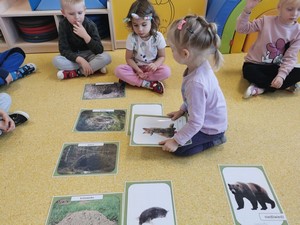 Dziecko z oddziału przedszkolnego (4 latki) siedzą na podłodze i oglądają zdjęcia zwierząt.